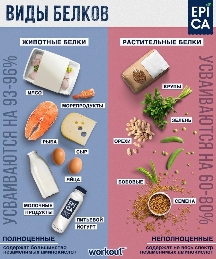 Какая еда содержит белки