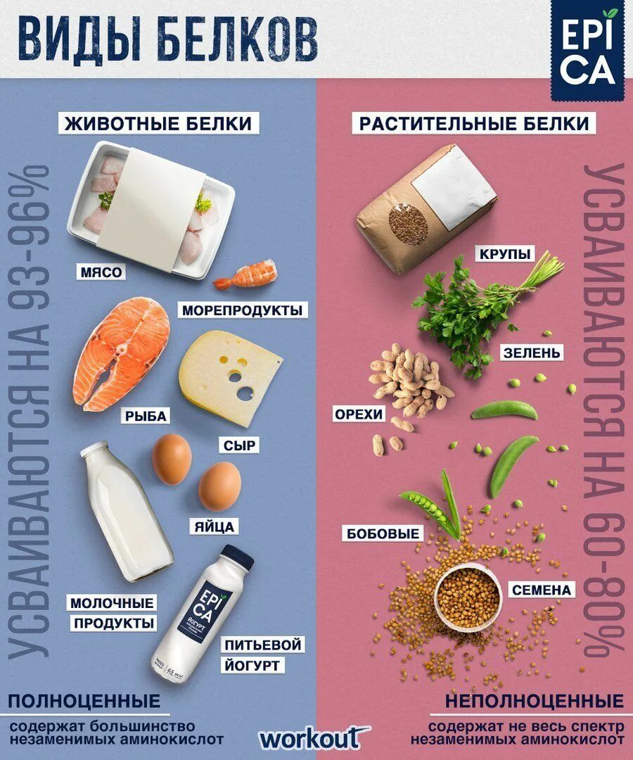 Продукты с высоким содержанием белка. Продукты богатые белком список. Продукты богатые велком. Белки список продуктов. Еда с содержанием белка