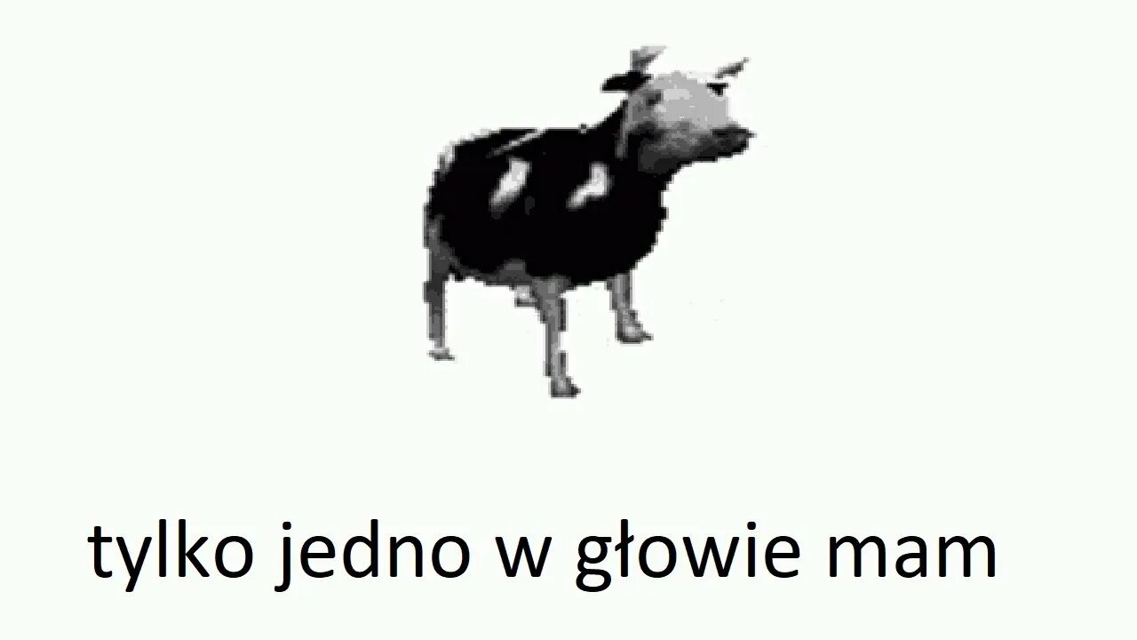 Głowie mam. Tylko jedno w głowie mam корова. Гифка Polish Cow. Корова танцует. Польская корова танцует гиф.