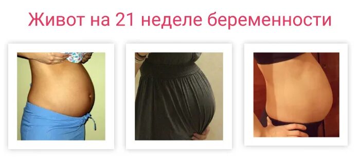 Почему на 21 неделе. Живот на 20-21 неделе беременности. Живот на 21 неделе. Размер живота на 21 неделе. Живот при беременности 20 недель.