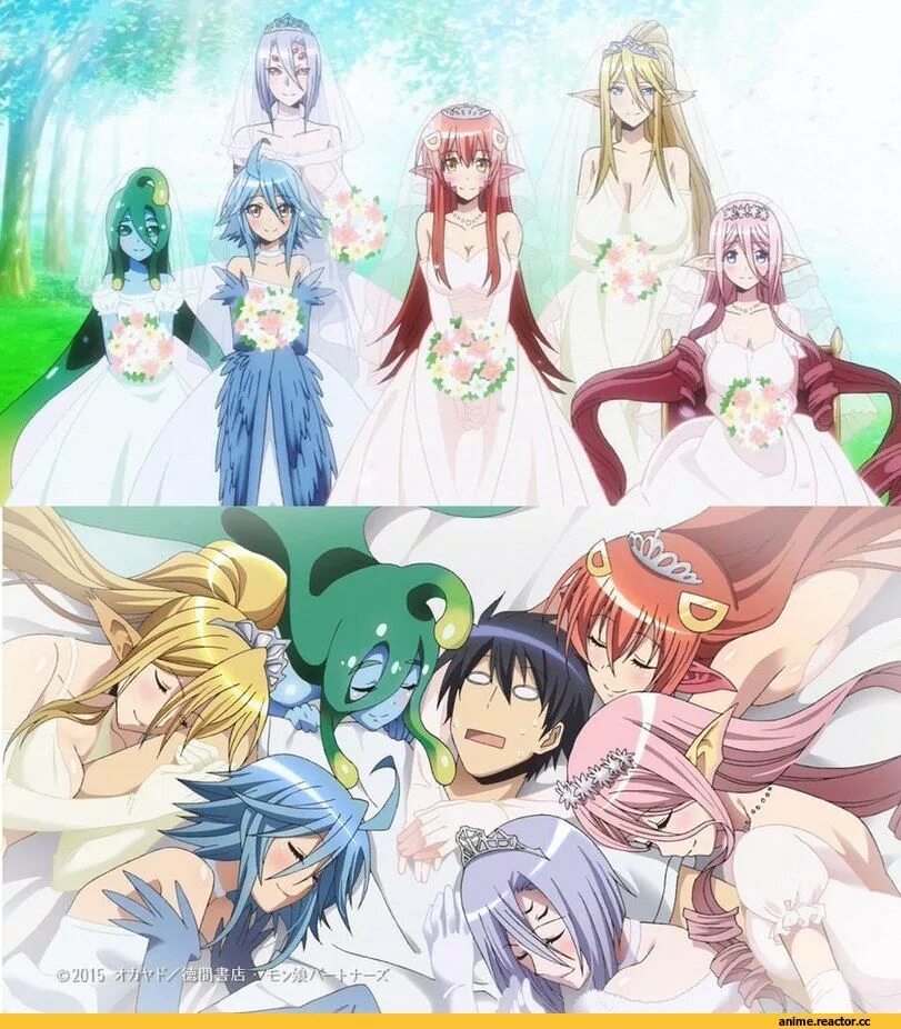 Daily life with a monster. Монмусу аниме. кимихито курусу. аниме monster musume.