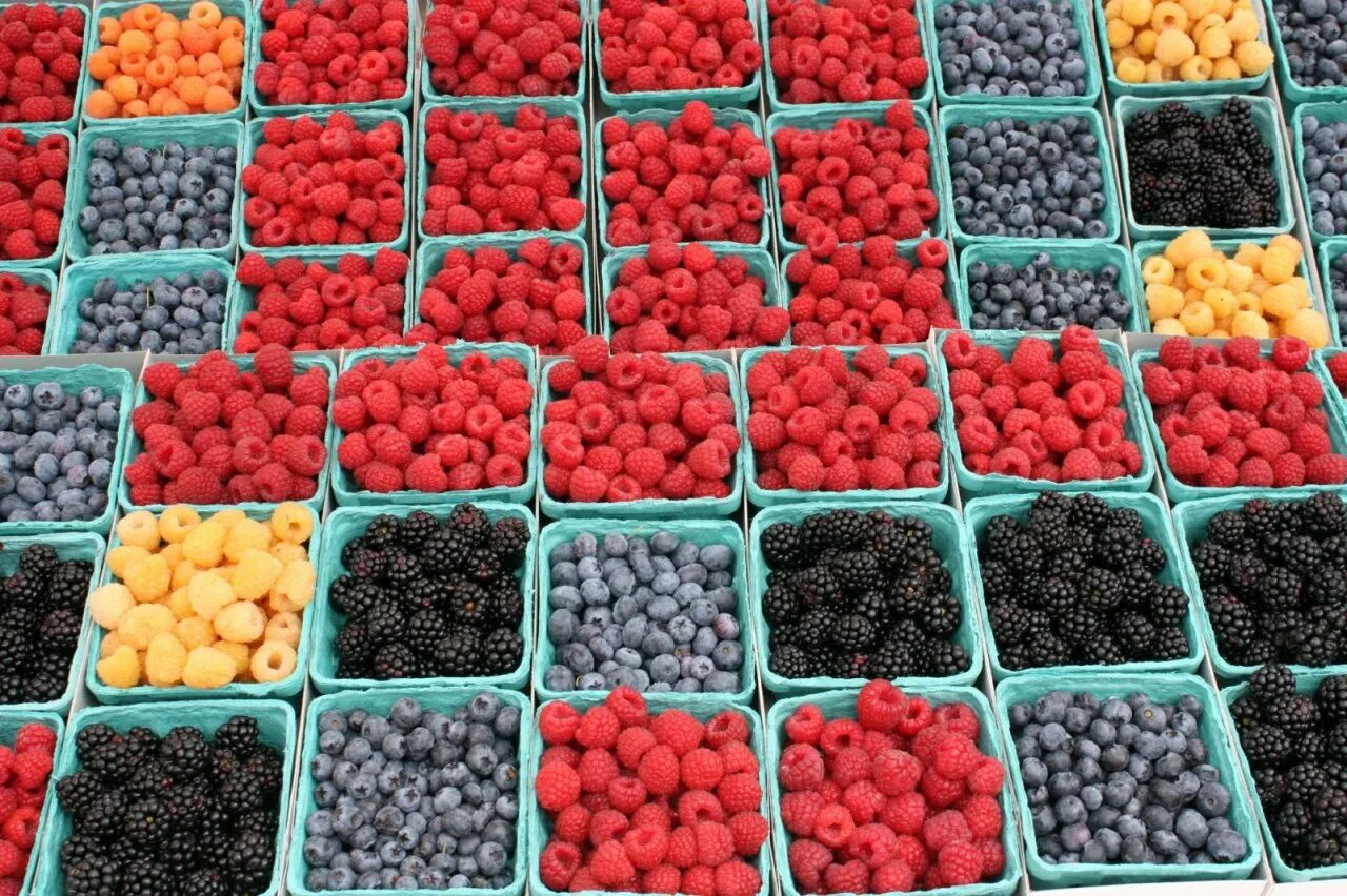 Существующие ягоды. Ежевика сорт торнфри. Ягоды. Фрукты и ягоды. Ягоды.