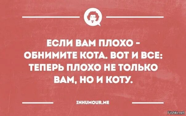 Не плохо мне понравилось. Если вам плохо обнимите кота. Если вам плохо обнимите кота теперь плохо не только вам. Когда тебе плохо обними кота. Если тебе плохо обними кота теперь плохо.