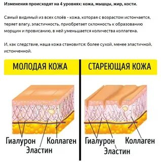 Коллаген роль в организме
