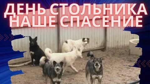 Спаси голод
