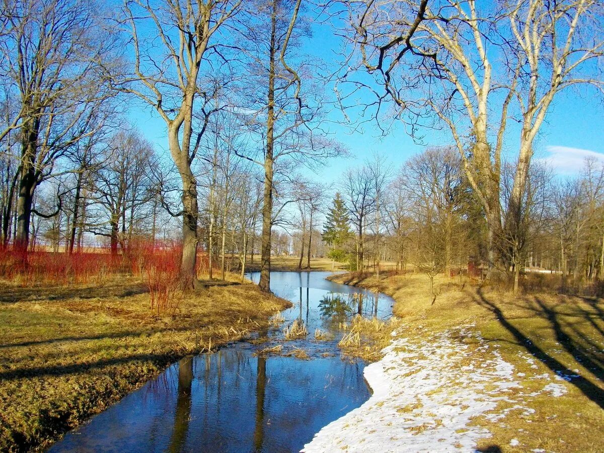 Весенний пейзаж. Апрель фото природы красивые