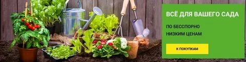 Огород режим работы