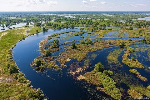 Заповедники беларуси