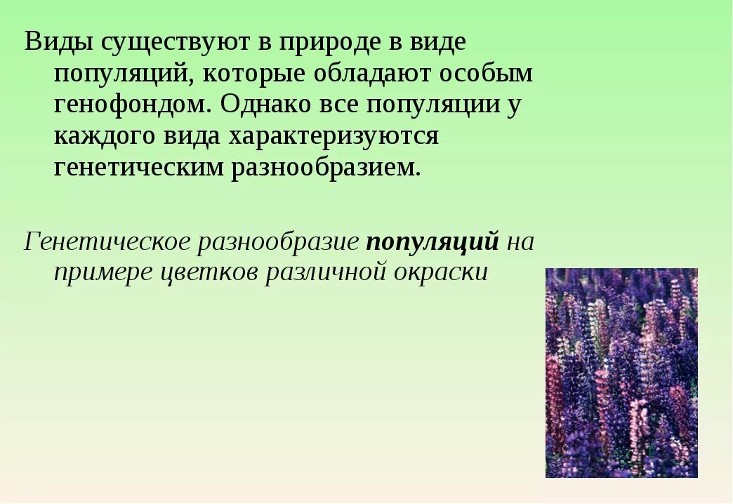 Какие свойства могут характеризовать популяцию как группу. Виды популяций. Популяционная биология. Почему биологические виды существуют в виде популяций.