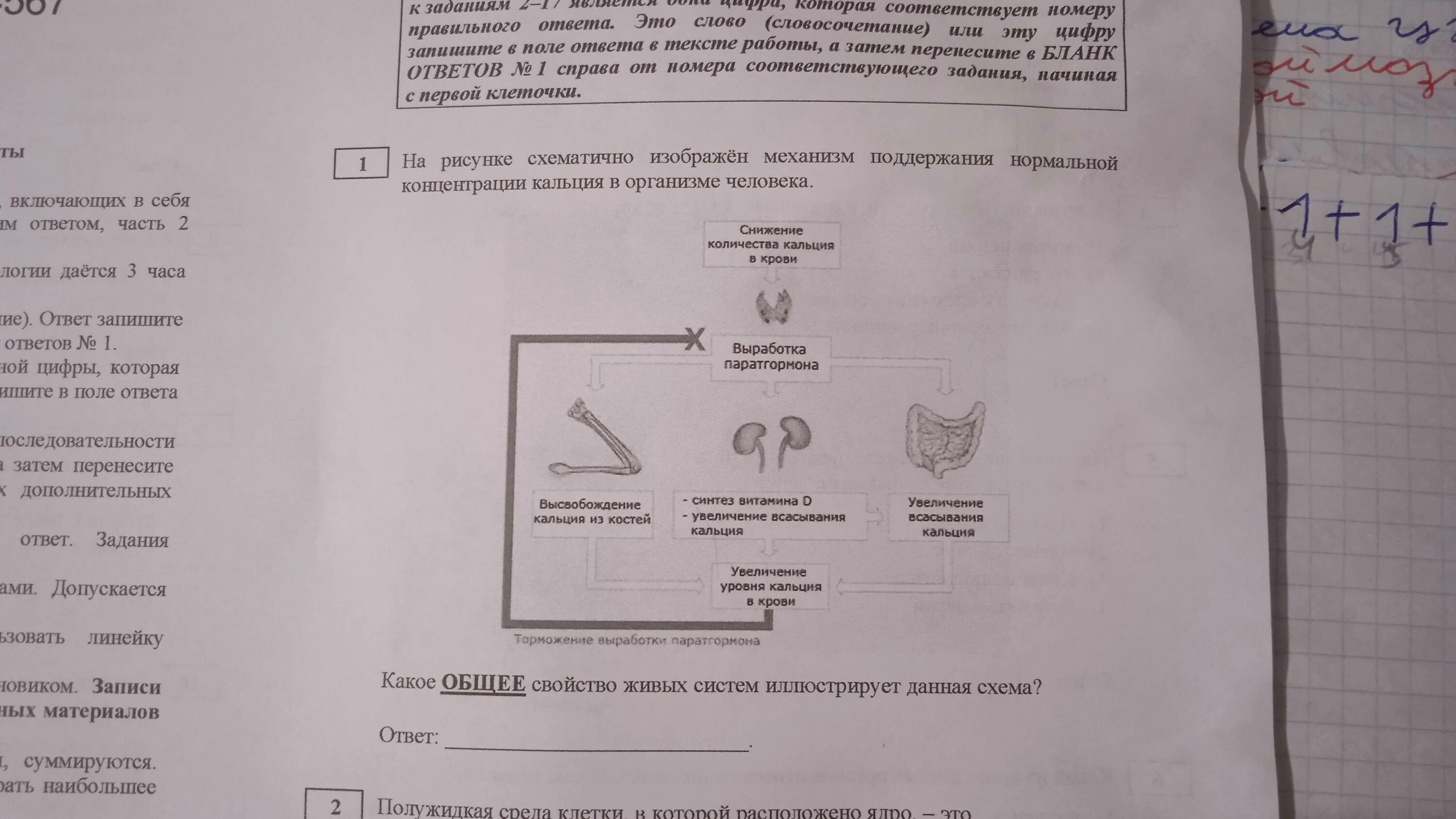 1 задание огэ биология 9