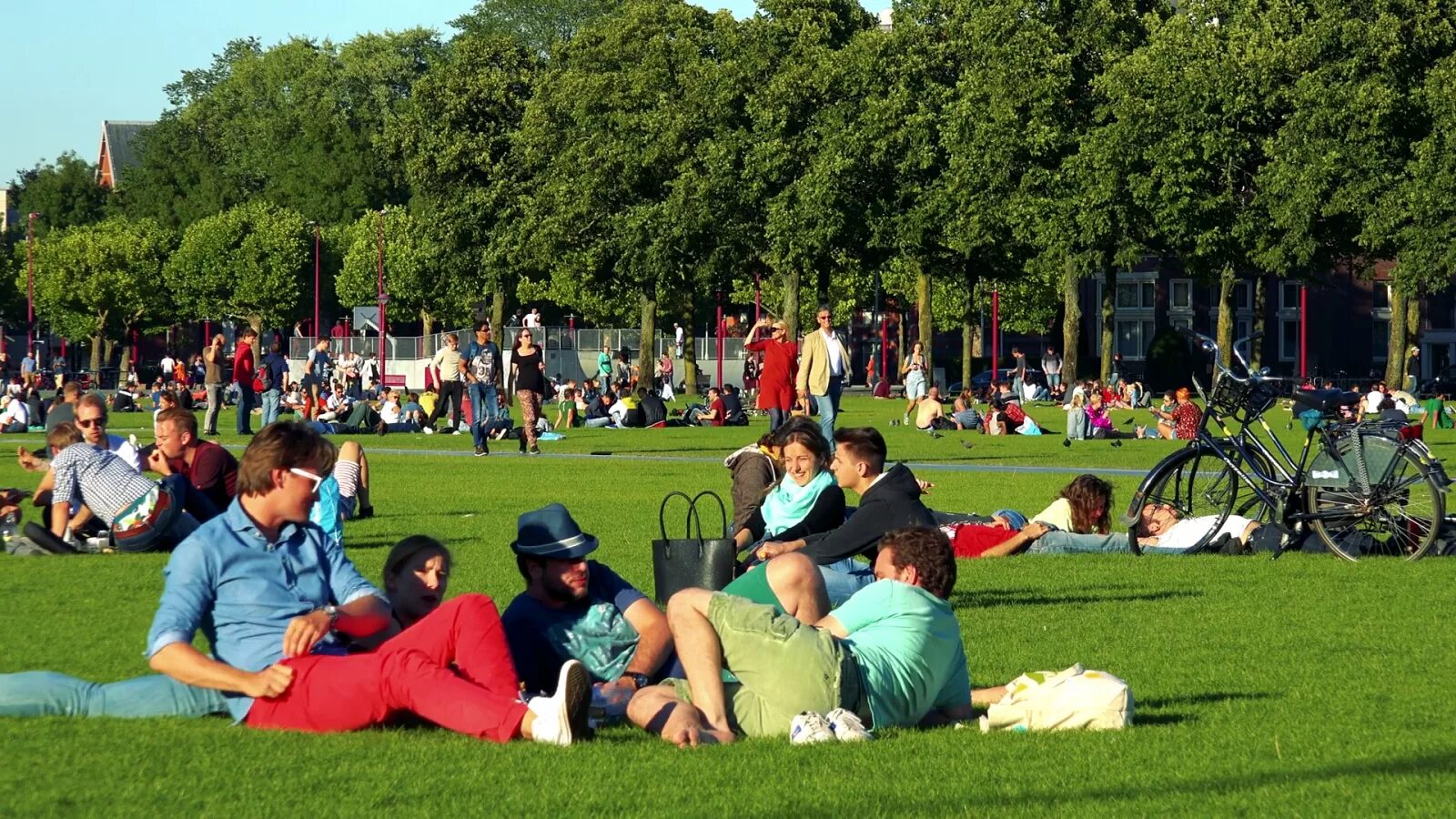 Парк с людьми. Люди в парке. Центральный парк с человеком. Много людей в парке.