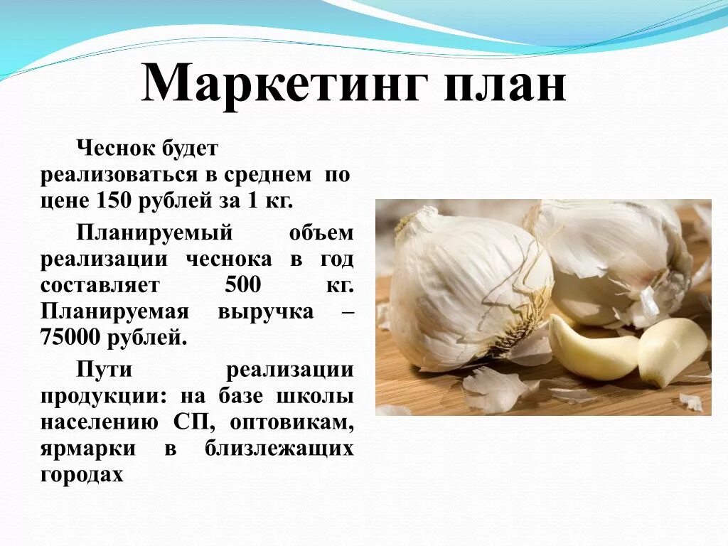 Planting winter garlic, its cultivation and varieties - from A to Z A site about