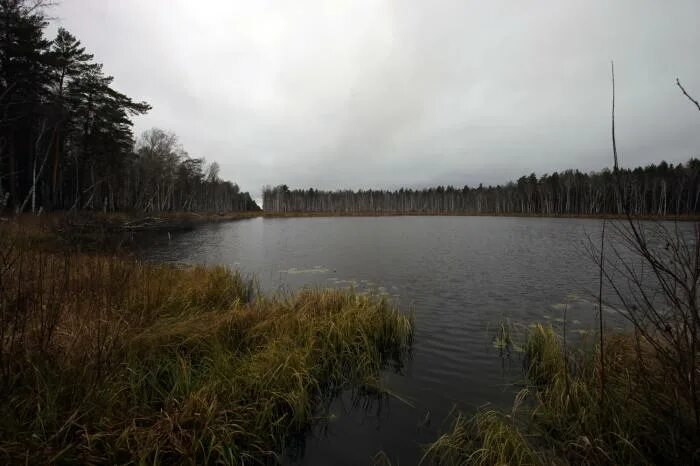 Озеро глубокое рыба. Озеро глубокое Новосибирск. Озеро глубокое Новосибирская область Ордынский район. Озеро Алферово. Озеро глубокое Новосибирск рыбалка.