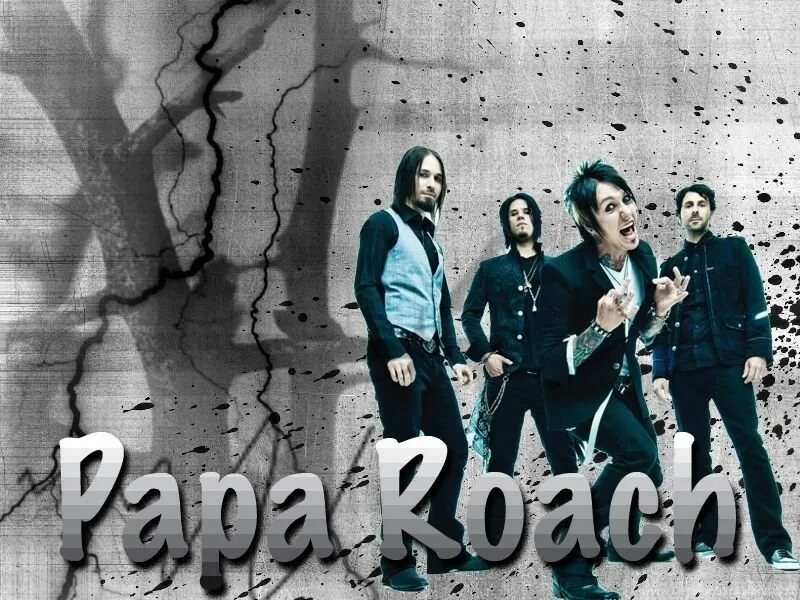 Родился mp3. Papa Roach 1993. Вокалист папа Роуч. Papa Roach 2008. Papa Roach Wallpaper.