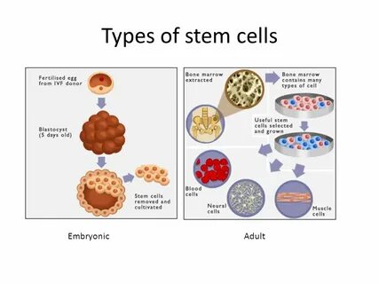 Cells select