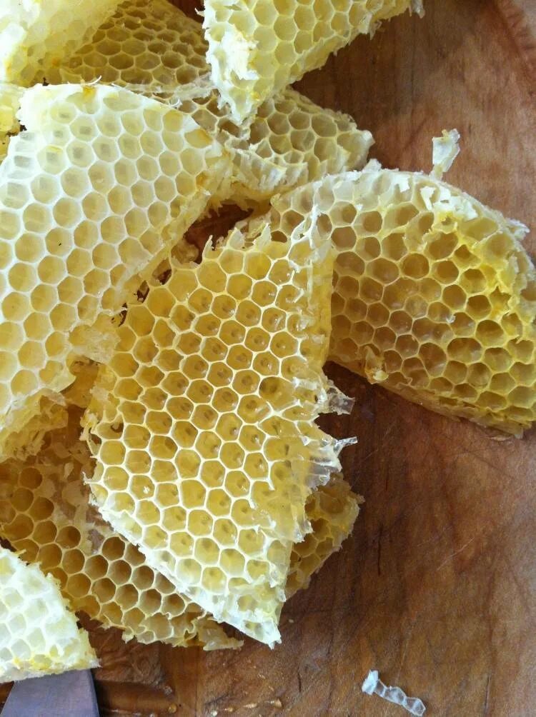 Можно есть соты с медом. Пчелиный воск. Соты пчелиные. Восковые соты. Соты меда.