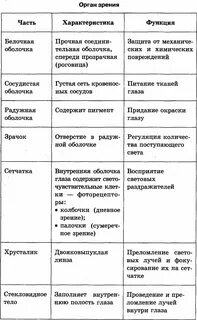 Систематические группы животных простейшие органы пищеварения