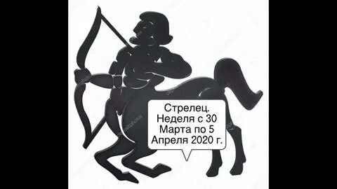 2024 год для стрельца женщины