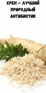 Как хранить хрен