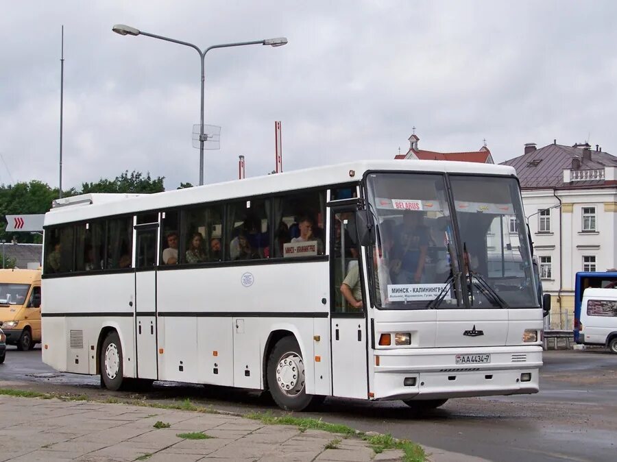 Минская калининград. Калининград Минск автобус. Автобус Минск Вильнюс. Минсктранс Минск Вильнюс. Минсктранс автобус Минск Вильнюс.