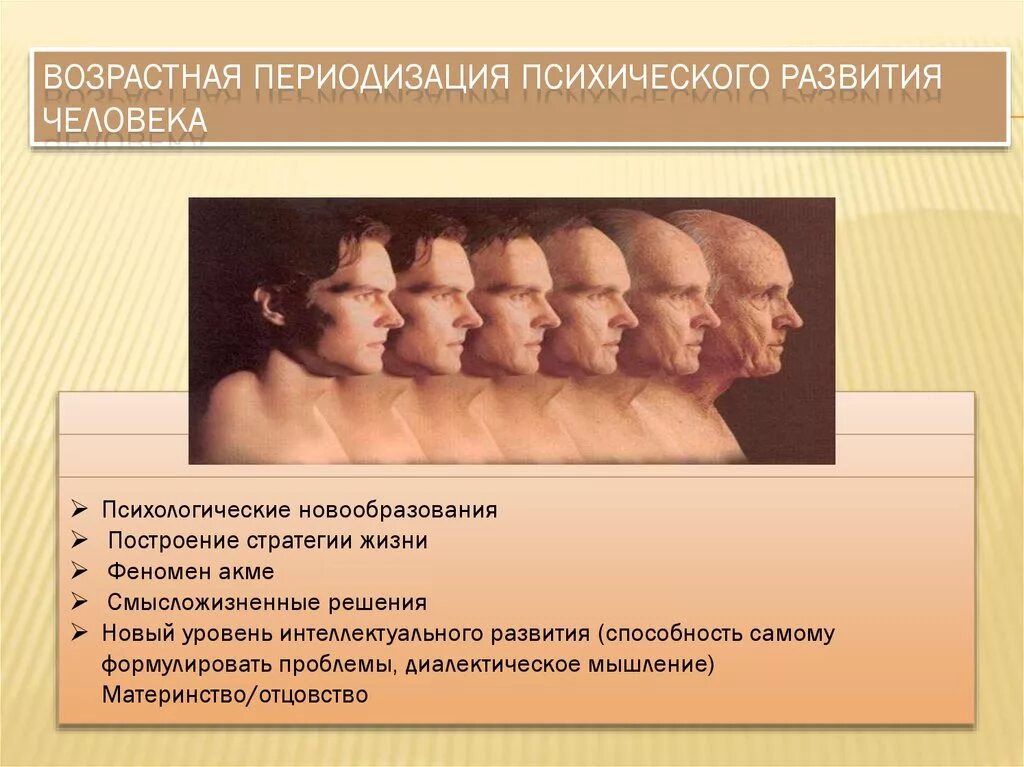 Возраст человека программа. Возрастная периодизация. этапы психического развития человека. психология развития. возрастные этапы в психологии.