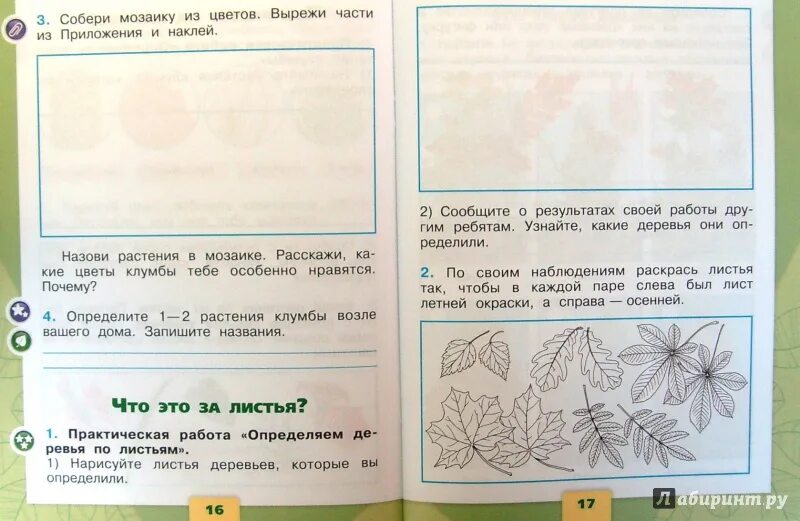 Окружающий мир 1 класс школа России рабочая тетрадь 1 часть. Рабочая тетрадь окружающий мир 2 класс 1 часть школа России. Окружающий мир 1 класс рабочие тетради в двух частях школа России. Окружающий мир. 1 Класс. Рабочая тетрадь..