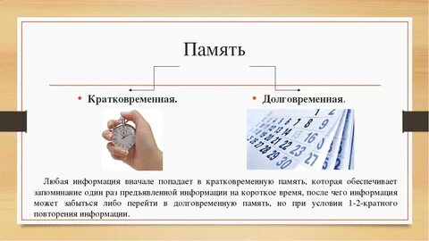 Кратковременная память