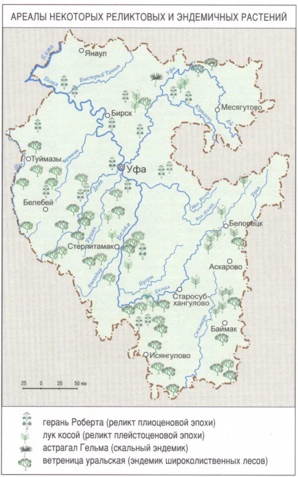 Ясень ареал распространения. Список ареалов. Список ареалов. Крупные города агломерации россии на карте. Список ареалов.