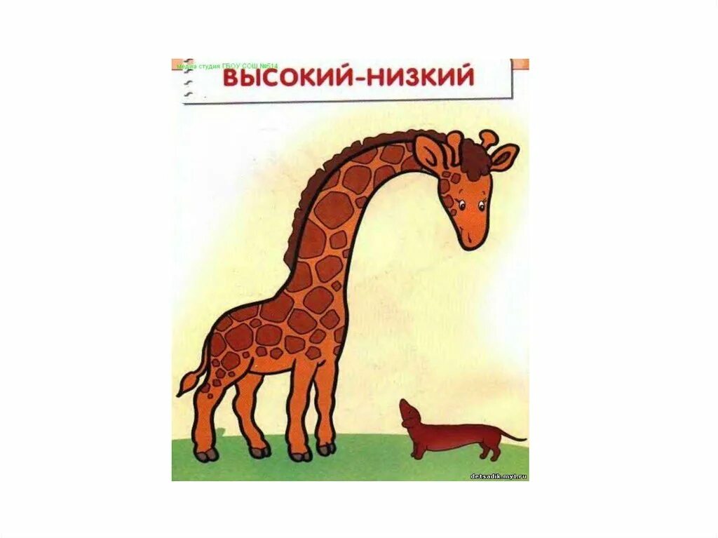 Высокий - низкий. Математика высокий низкий. Занятие высокий низкий. Высокий низкий для детей.