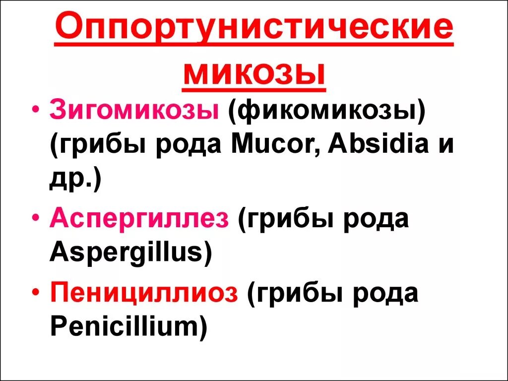 Возбудители оппортунистических микозов. Возбудители оппортунистических микозов