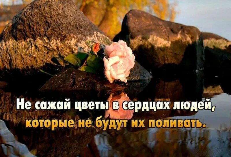 Не сеет не сажает сами. Внутренний мир 4 класс. Не сеет не сажает сами. Внутренний мир 4 класс. Не садитесь за них не сажайтесь.