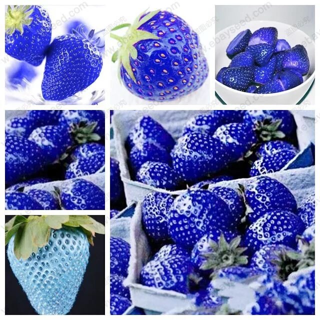 кенди бар свадьба в синем цвете. десерты голубого цвета. капкейк. красивые пирожные. украшение праздника в бело голубых тонах.