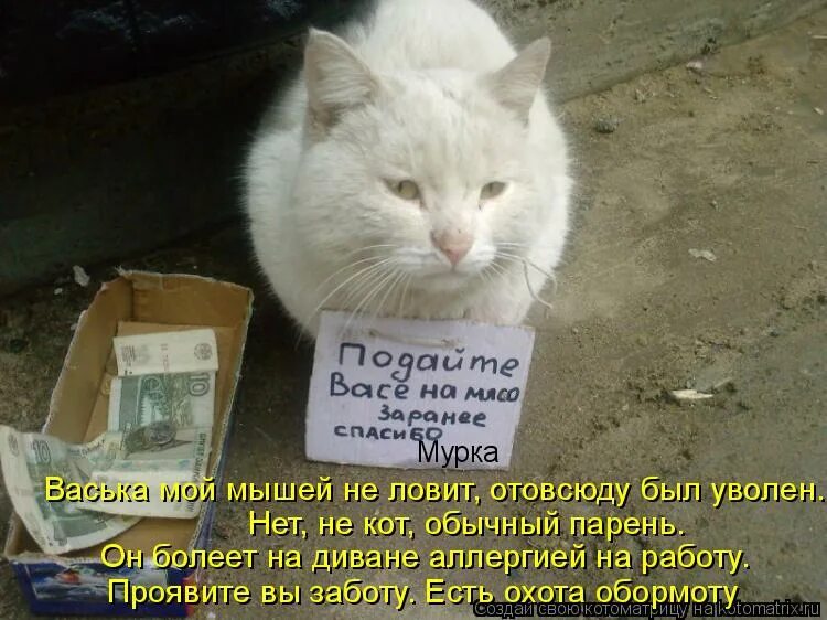 Кот васька ловит мышей. У нас живет кот васька он большой проказник. Кот васька. Это может ваш малыш бумажные аппликации. Прогневался.