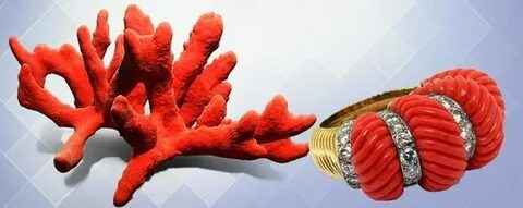 Привези привези коралловые