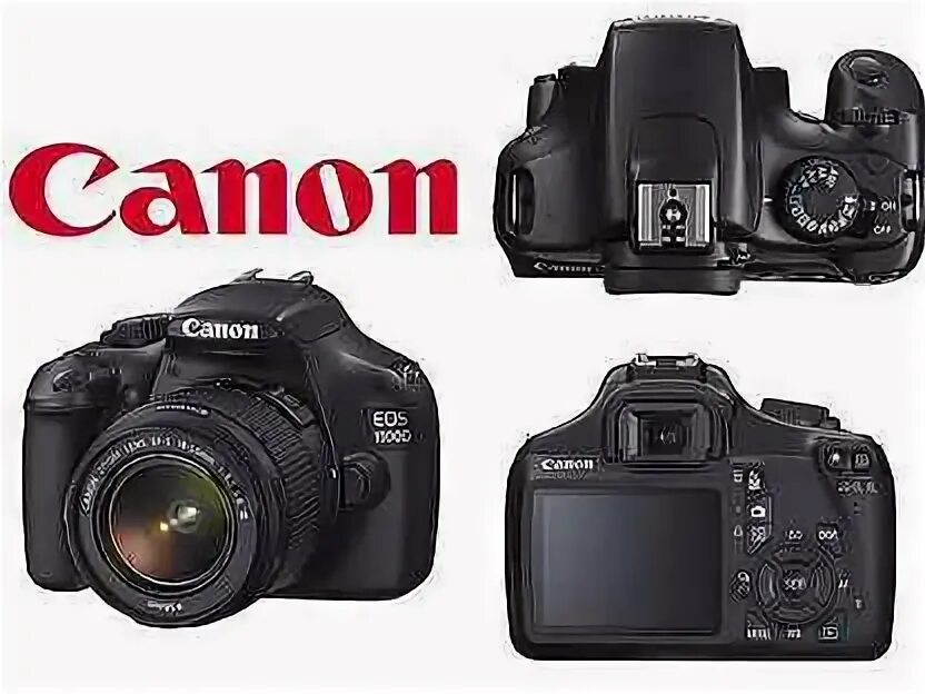 Фотоаппарат canon eos r. Canon 1d x. Canon 6d vs 6d mark ii. Фотоаппарат eos 1100d. Canon eos 850d.