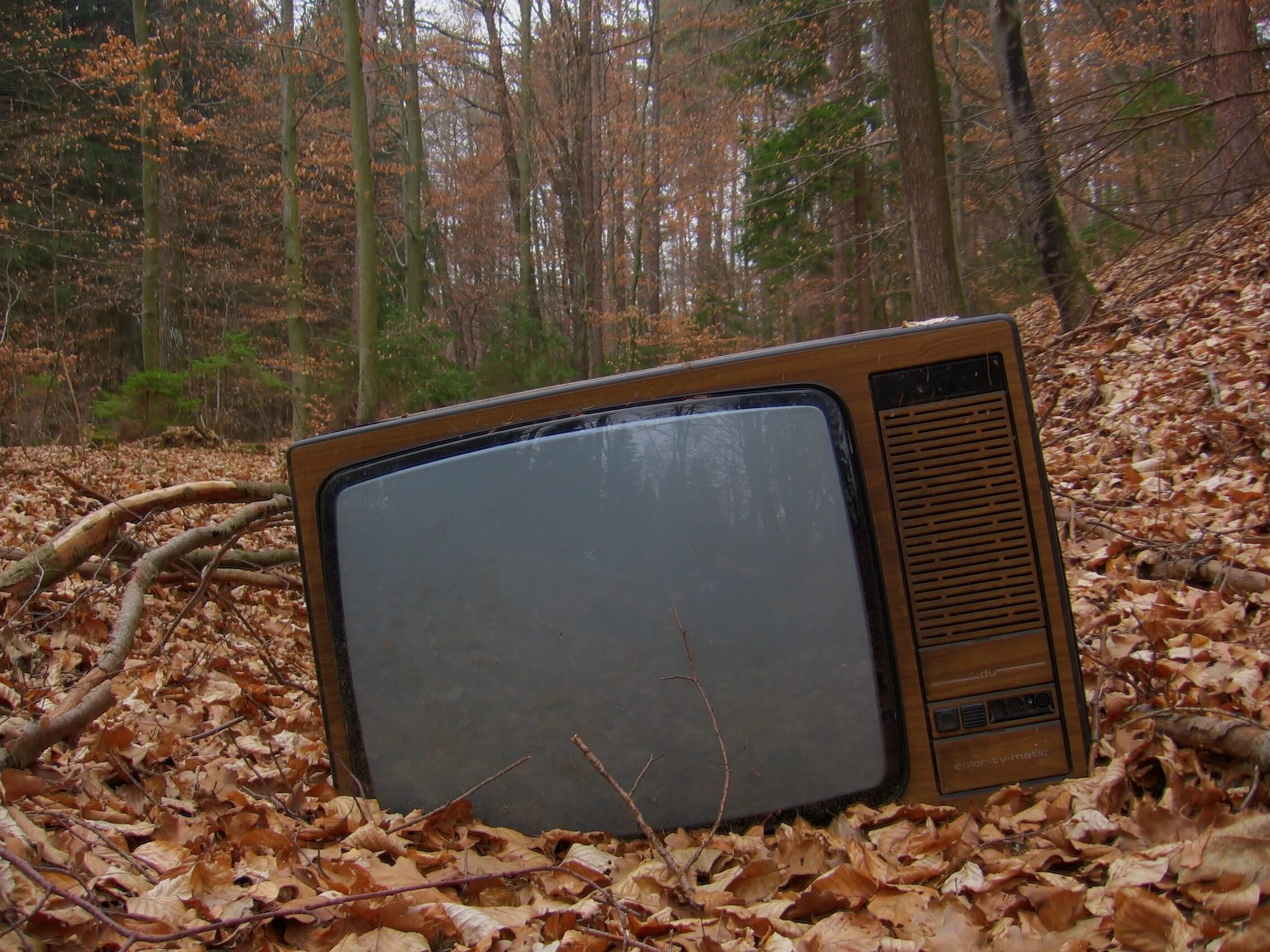 Tv old 2. Старый телевизор. Старинный телевизор. Телевизор в лесу. Советский телевизор.