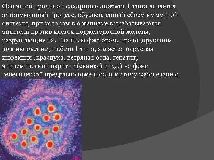 Антитела сахарный диабет 1 типа. Антитела к бета клеткам поджелудочной железы. Сахарный диабет поджелудочная железа с бета клетками. Бета клетки при сахарном диабете 1 типа. Пересадка железы при сахарном диабете