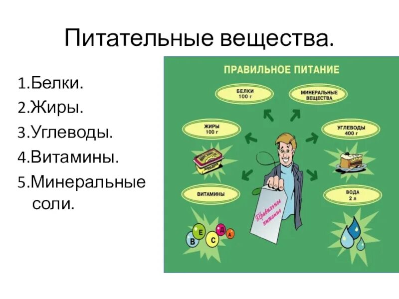 Рациональное питание животных