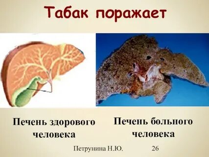 Отказ от курения печень