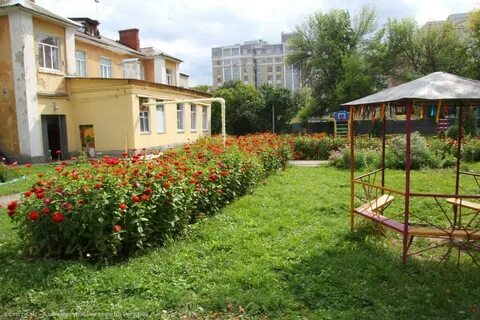 Фото школьного сада