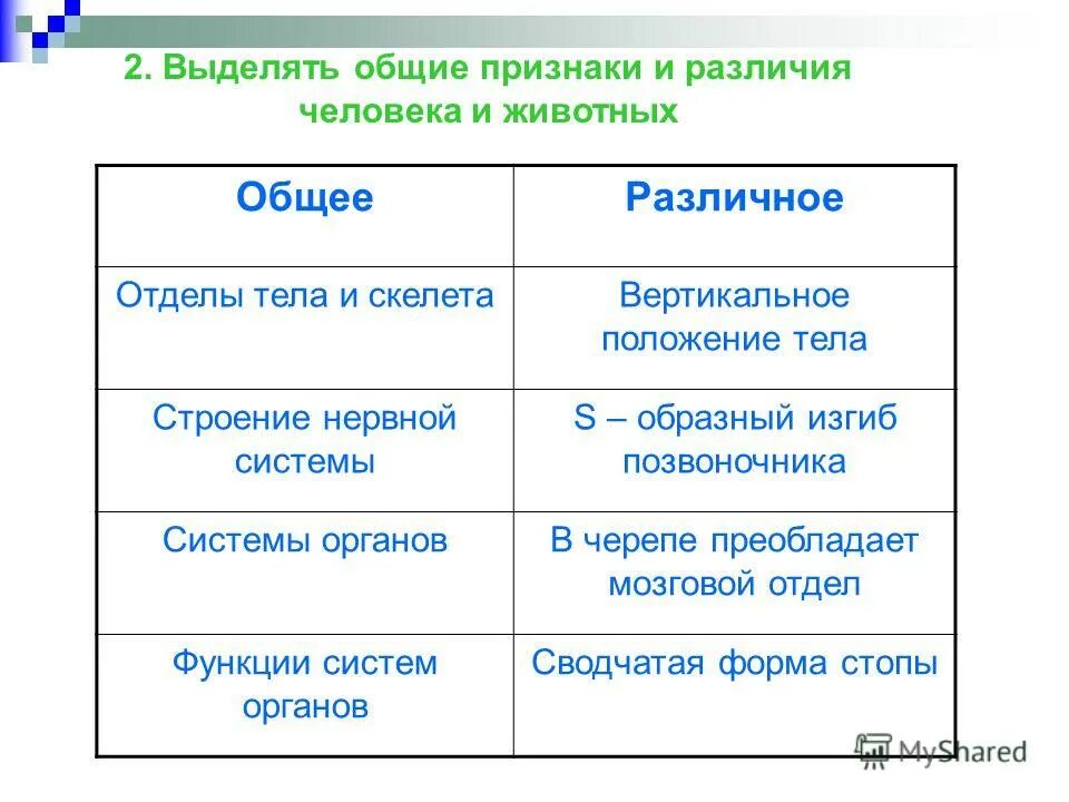 Сходства человека и животного обществознание. Сходства и отличия между людьми и животными. Что общего у человека и животного. Сходства и различия человека и животногг. Сходства и различия человека и животных.