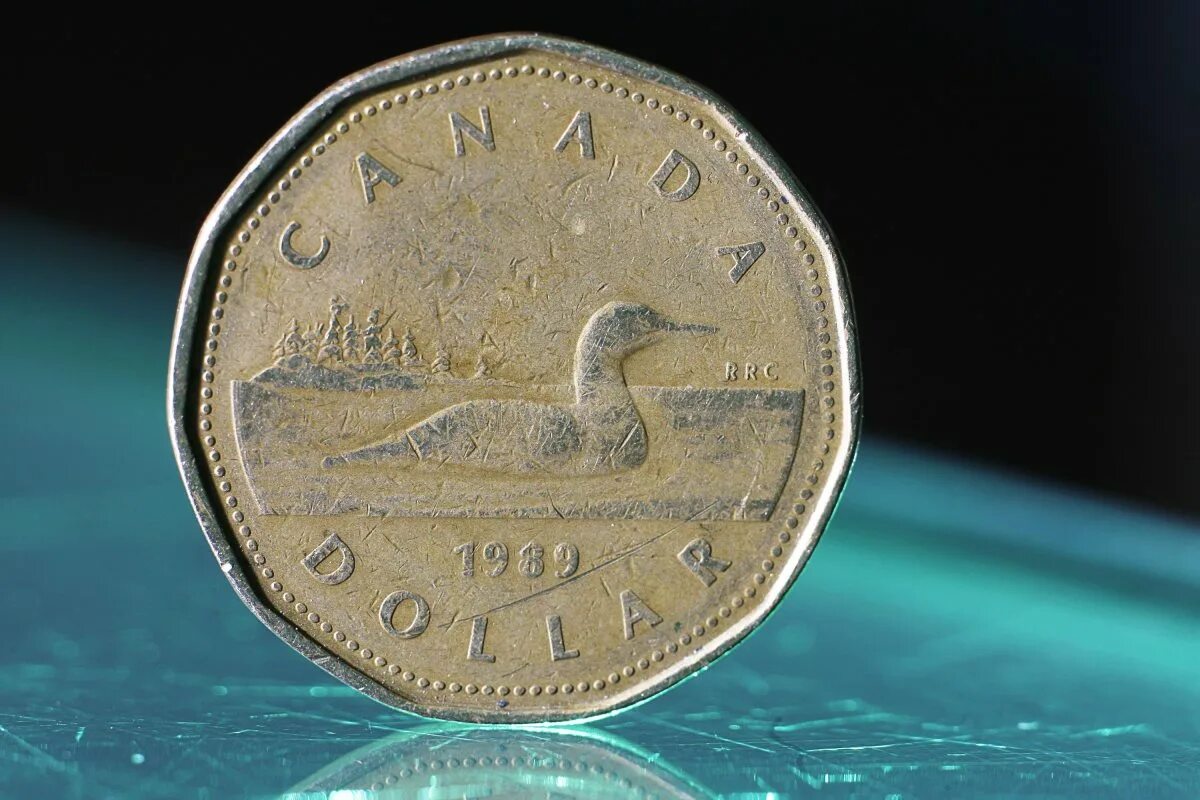 179 долларов. Канадский доллар. Канадский доллар фото. Канадский доллар металлический. Канадский доллар история возникновения.
