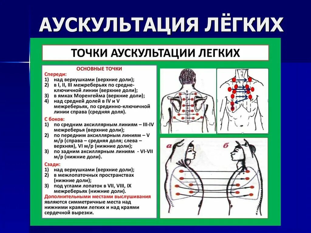 Звуки бронхита. Точки аускультации легких пропедевтика внутренних болезней. Аускультация органов дыхания точки. Аускультация грудной клетки пропедевтика. Точки аускультации дыхательной системы.