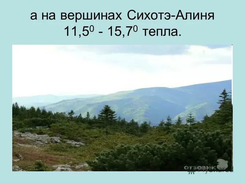 Тип климата сихотэ алинь. Высотная поясность сихотэ-алинь. природные зоны сихотэ алинь. высотные пояса сихотэ-алинь. вершина горы сихотэ алинь.