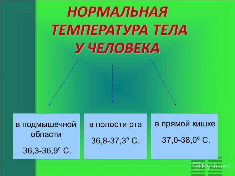 Почему температура 6. Нормальная температура тела. нормальная температура человека. норма температуры у человека. температура тела человека норма.