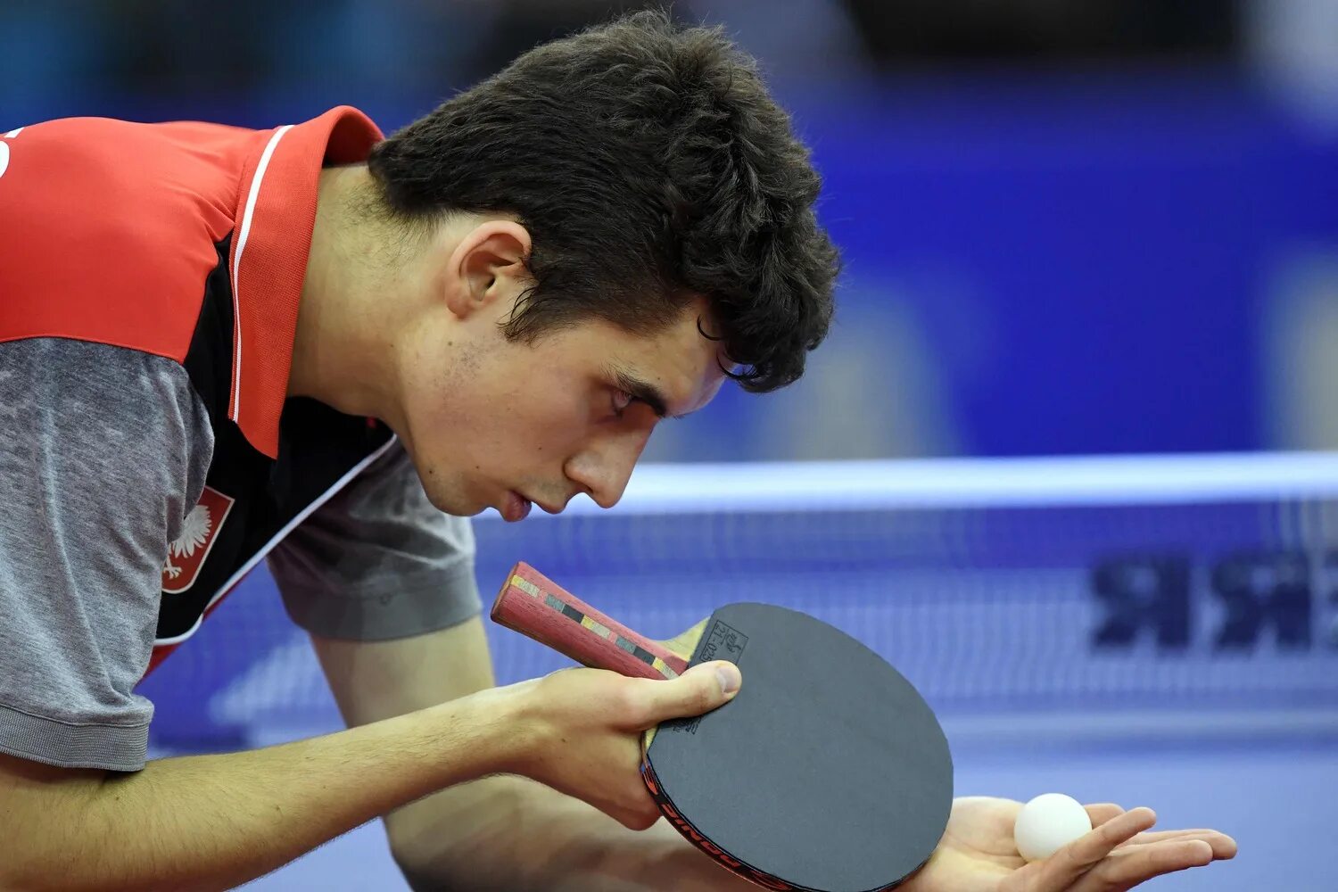 Настоннис теннис. Тимо болль. Игрок в настольный теннис. Timo boll young. Теннисист вальднер.