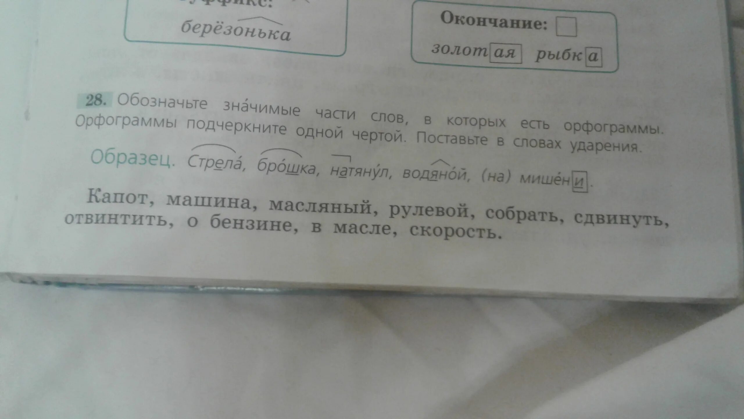 Орфограмма в слове. Значимые части слова в которых есть орфограммы. Орфограммы в значимых частях слова. О бензине орфограмма в слове. Орфограмма слова начинает