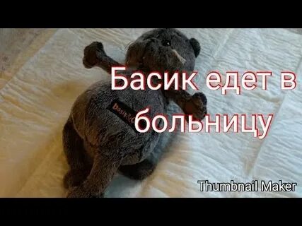 Басик едет