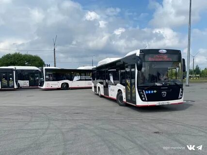 Автобус спб череповец