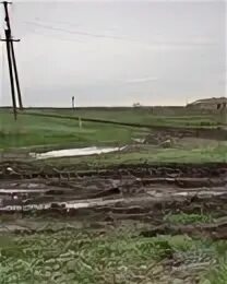 Всю дорогу до хутора молчали говорить мешала. Ростовская область зерноградский район хутор заполосный. краснюков зерноградский район. хутор краснюков зерноградский район ростовская область. церковь хутора запалосного зерноградского района.